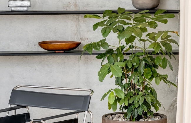 Mountain View Holiday Villa w Garden and Pool Iliwa - Foto 23