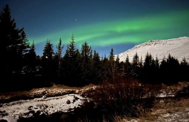 Bjálki Cabin Lodge - Foto 20