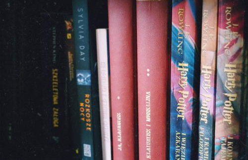 Apartament Żuławy, na wyłączność - Foto 19