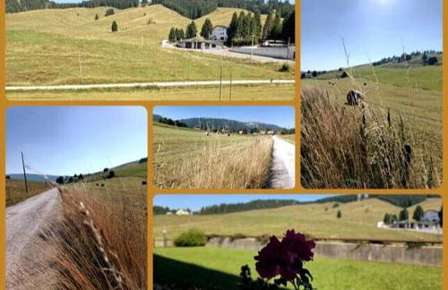 Altopiano di Asiago Apartment - Foto 21