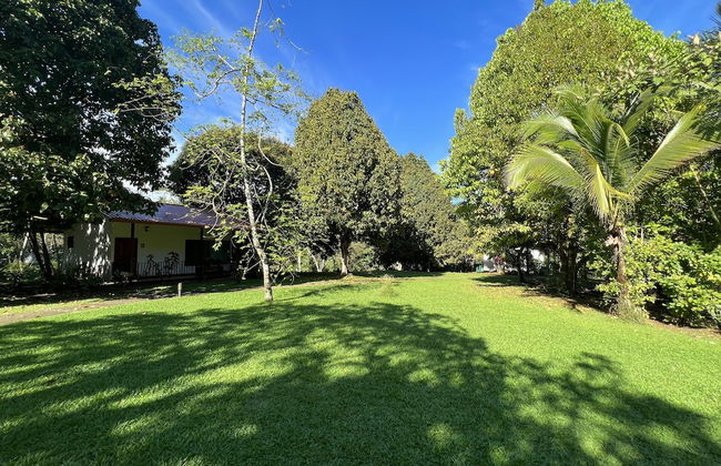 Blue Banyan Inn - Photo 15