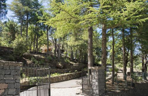 Gebel House - Foto 14