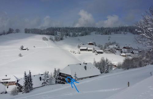 Apartment Monte e Mare -Ferienidyll in Todtnauberg - Foto 29