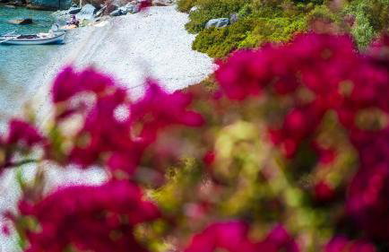 Penelope's Blue Sea Front Residenses - Foto 24