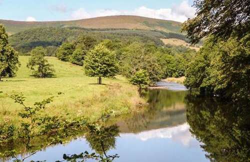 Park Brook Retreat - Foto 11