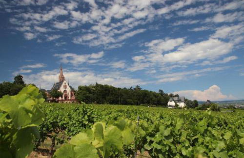 An den Weinbergen - Foto 17