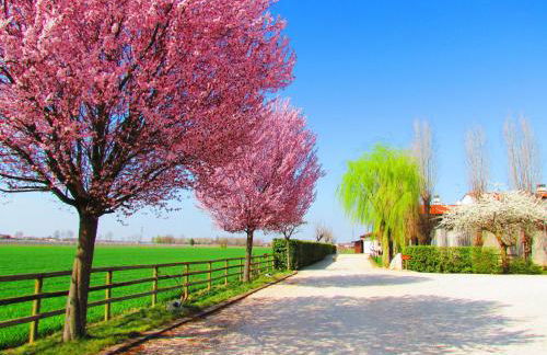 Agriturismo Le Cipressine - Foto 14