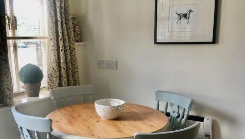 Owl - Ukc6107 - Foto 3