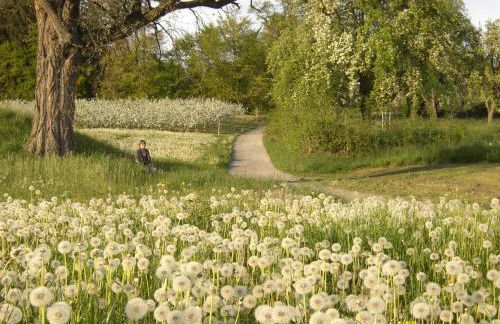 Ferienwohnung Bania - Foto 16