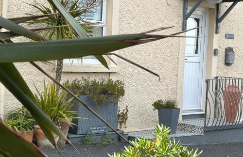 Little Jem Harlyn Bay near 7 Bays - Foto 24