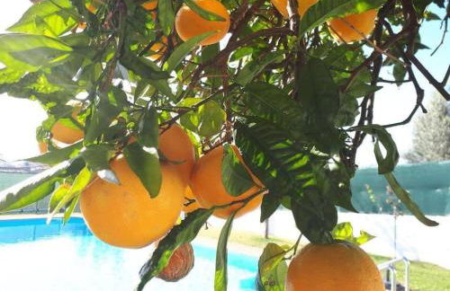 Casa do Vale - Moradia-Rio Minho-Seixas-Caminha - Casa de férias completa com piscina - Foto 60