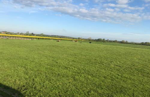 Foxglove retreat - Foto 15