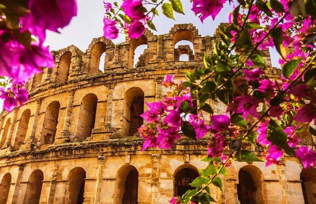 Tour de 5 días por Túnez - Foto 2