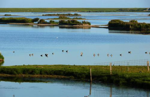Haus Halligblick - Foto 9