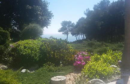 Villa Amadeus Xabia - Foto 36