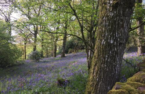 Willow Cottage, Gilchristland Organic Farm - Foto 1