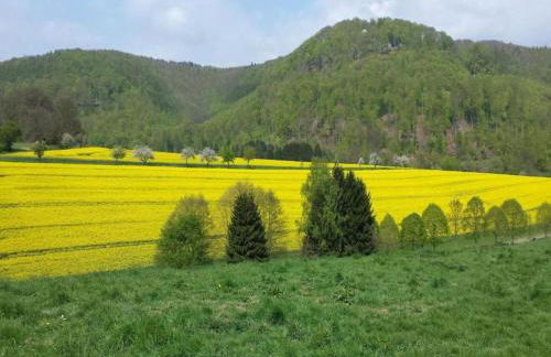 Ferienwohnung in Lowensen mit Eigener Terrasse - Foto 49