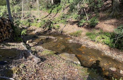 Beech Creek Cabin, lower unit, Black Mountain - Foto 25