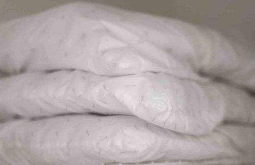 LOCATION! Apartment in Coconut Grove with parking - Foto 28