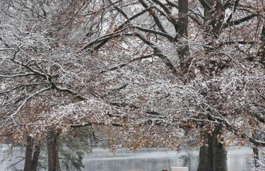 Apartament Fryderyk Łagów - Foto 40