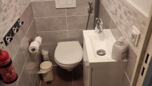 Lyon Confluence - duplex au calme avec parking privé en option - Foto 4
