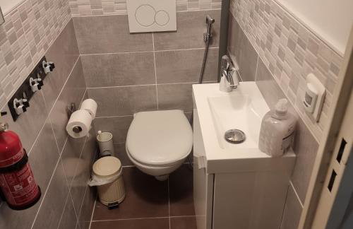 Lyon Confluence - duplex au calme avec parking privé en option - Foto 4