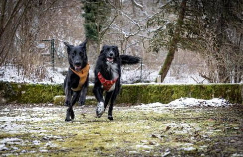 Ferienhaus Chalet an der Brettach - Foto 51