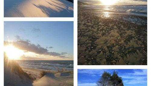 Swojskie Chatki - Leśna Chatka - Foto 3