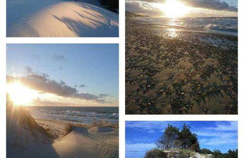 Swojskie Chatki - Leśna Chatka - Foto 3