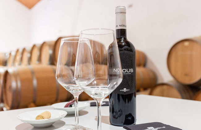 Bodegas Nodus Tour - Photo 7