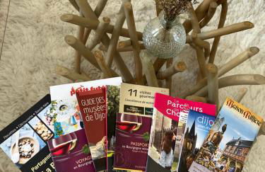 Loft Pasteur - Homillesime - Foto 54