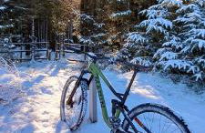 Elm Grove - Photo 25