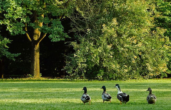 Relais Ormesani - Foto 44