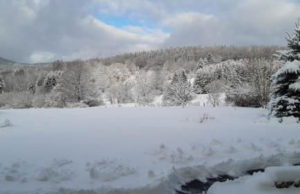Ferienwohnung Am Stachelsrain - Foto 10