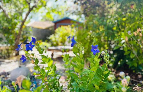 La Floraison - Foto 43