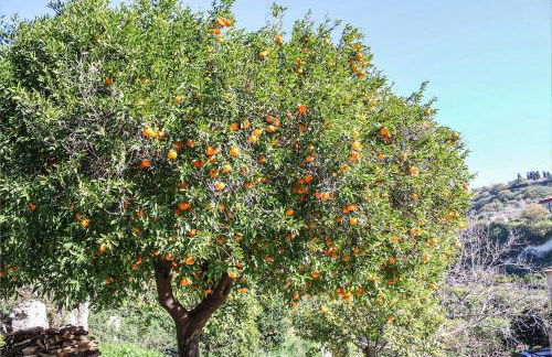 Antica Cantina Emilia - Foto 69