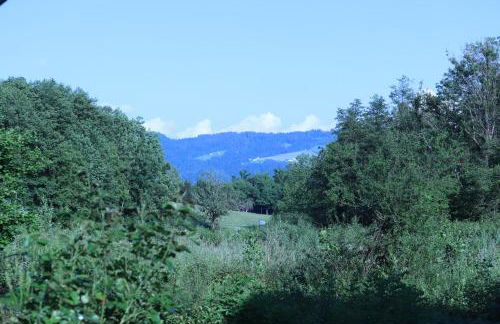 Wohnung #6 mit Balkon in ruhiger aber zentrale Lage - Stadtbus vor der Tür! - Foto 23