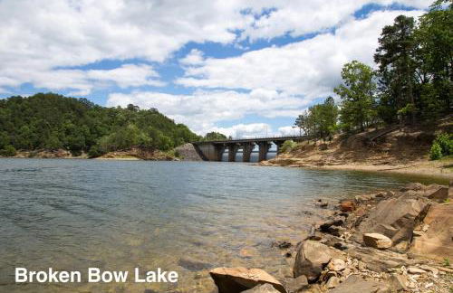 Cozy Cabin with Hot Tub, Fire Pit and Arcade Games - Foto 59