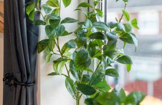 The Heart - Cosy 3 bedroom house with double driveway and Garden in Manchester - Foto 73