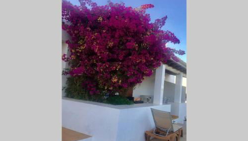 Casa Rural Es Cap de Barbaria Can Joan Guillem - Foto 3