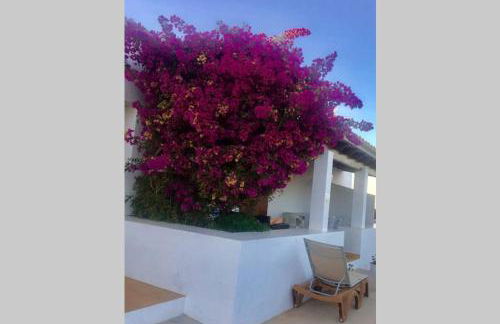 Casa Rural Es Cap de Barbaria Can Joan Guillem - Foto 3