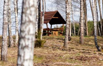 Apartamenty Białe Brzozy - Photo 75