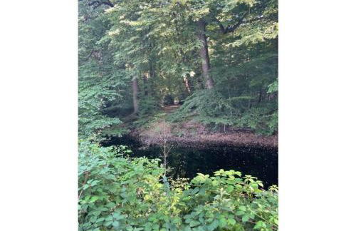 One-bedroom apartment - Photo 21