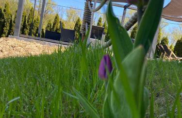 Stodoła Nad Skawą - Foto 18