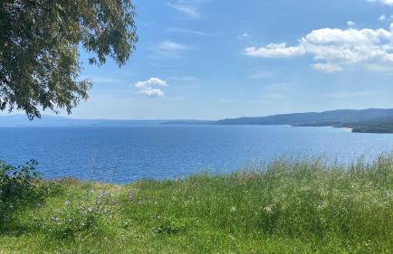 The Yellow Houses - Photo 41