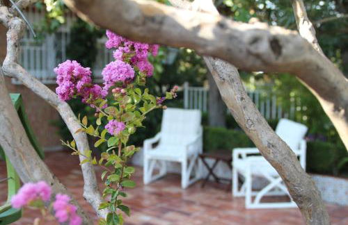 El jardín de la abuela - Foto 1