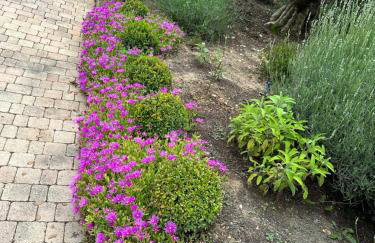 Villa Verdon en Provence - Vue sur le Lac d'Esparron sur Verdon - Foto 38