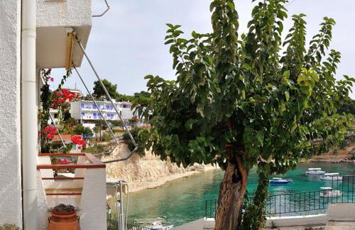 Pension Dimitris - Photo 37