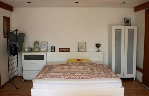 Gemütliches großzügiges Apartment - Foto 2