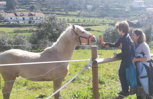 Unhais Valley - Country House - Foto 58